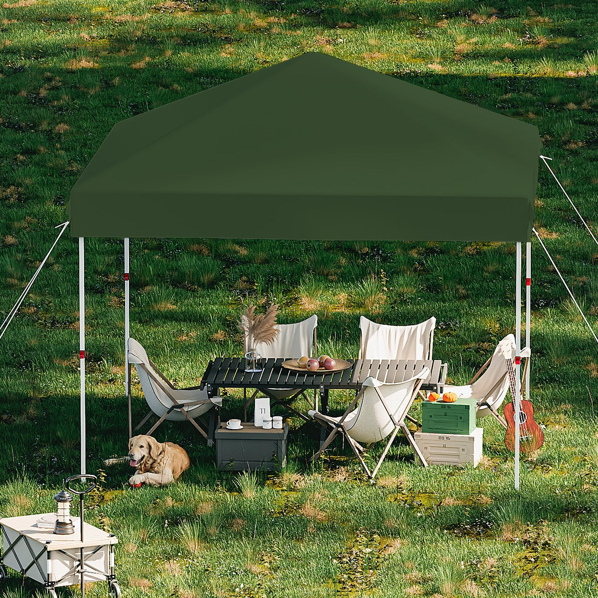 Garvee 10 x 10 Ft Pop-up Canopy, One Button Push Setup, Heavy Duty, Portable Roller Bag