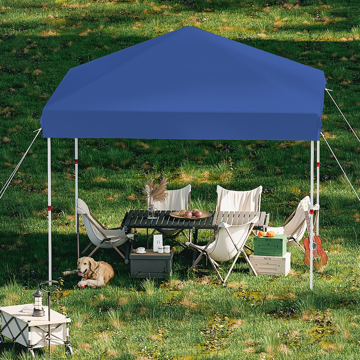 Garvee 10 x 10 Ft Pop-up Canopy, One Button Push Setup, Heavy Duty, Portable Roller Bag