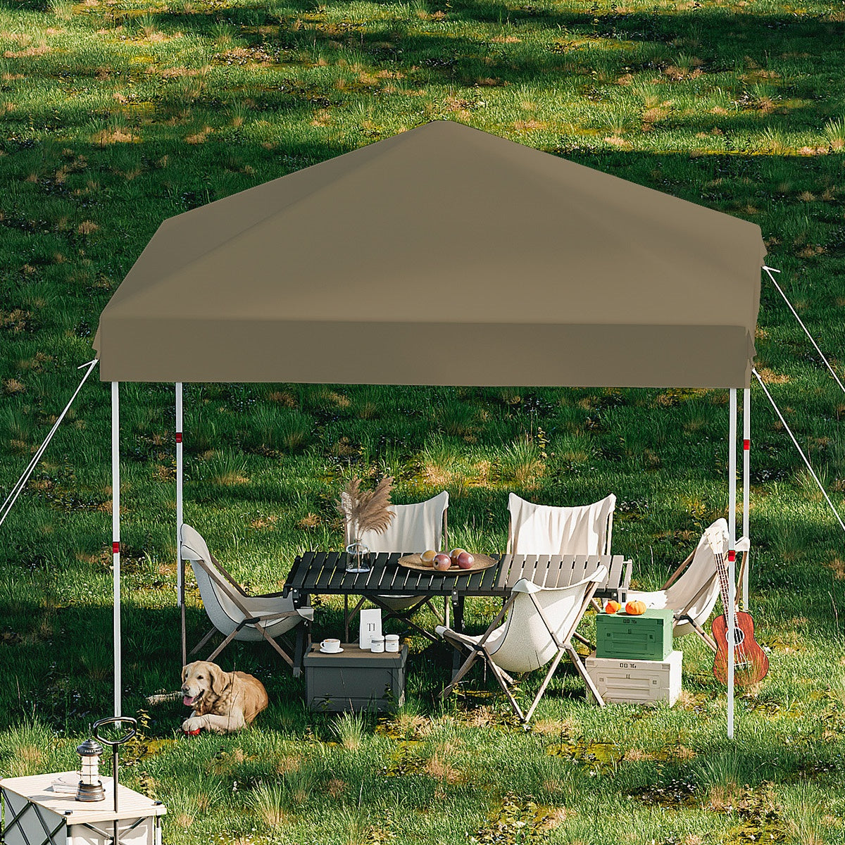 Garvee 10 x 10 Ft Pop-up Canopy, One Button Push Setup, Heavy Duty, Portable Roller Bag
