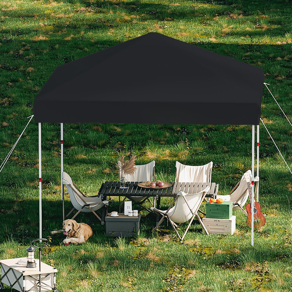 Garvee 10 x 10 Ft Pop-up Canopy, One Button Push Setup, Heavy Duty, Portable Roller Bag