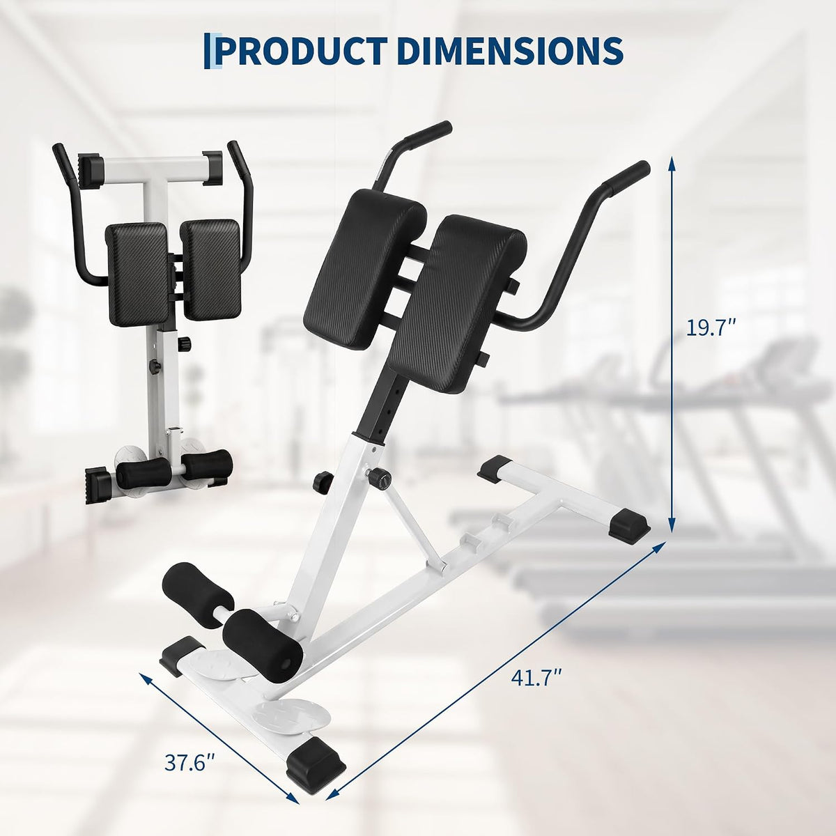Riedhoff Roman Chair, Adjustable Hyperextension Bench, 25" to 37" Adjustable Height, 330 lbs