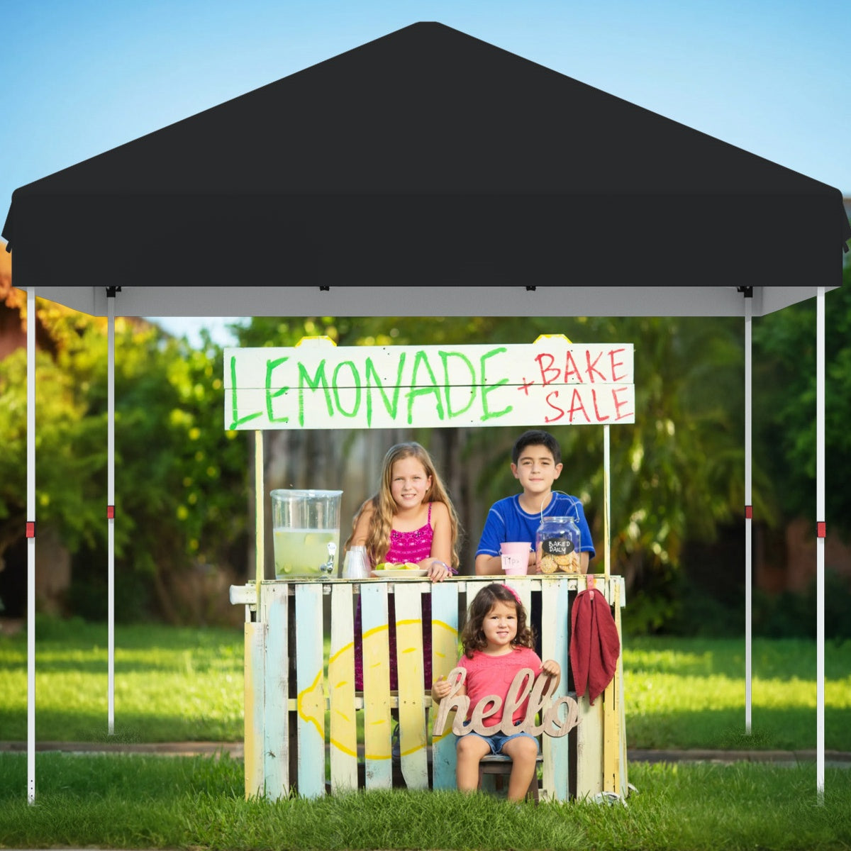 Garvee 10 x 10 Ft Pop-up Canopy, One Button Push Setup, Heavy Duty, Portable Roller Bag