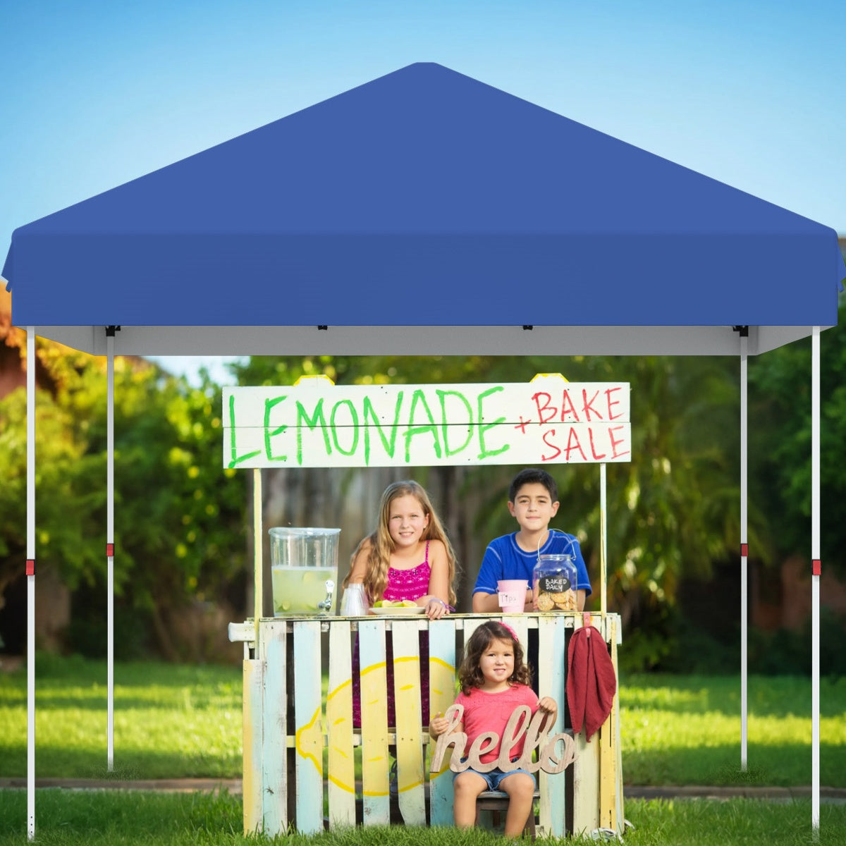 Garvee 10 x 10 Ft Pop-up Canopy, One Button Push Setup, Heavy Duty, Portable Roller Bag