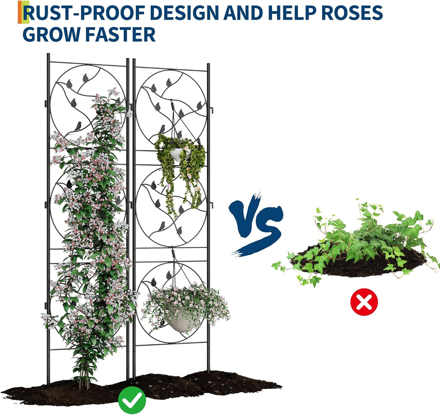 Riedhoff Metal Garden Trellis for Climbing Plants, Black
