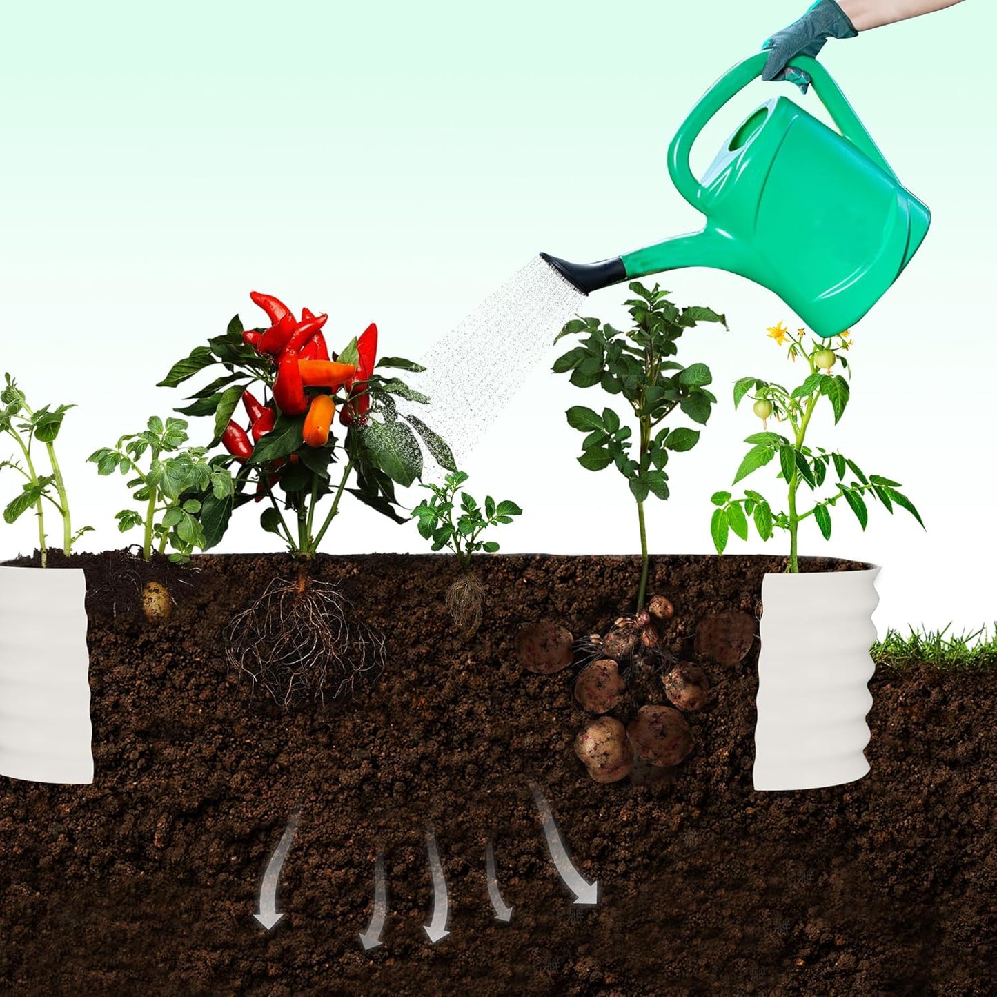 Goldensoil Raised Garden Bed with 95" H Tall Arch Trellis for Climbing Vegetables Flowers