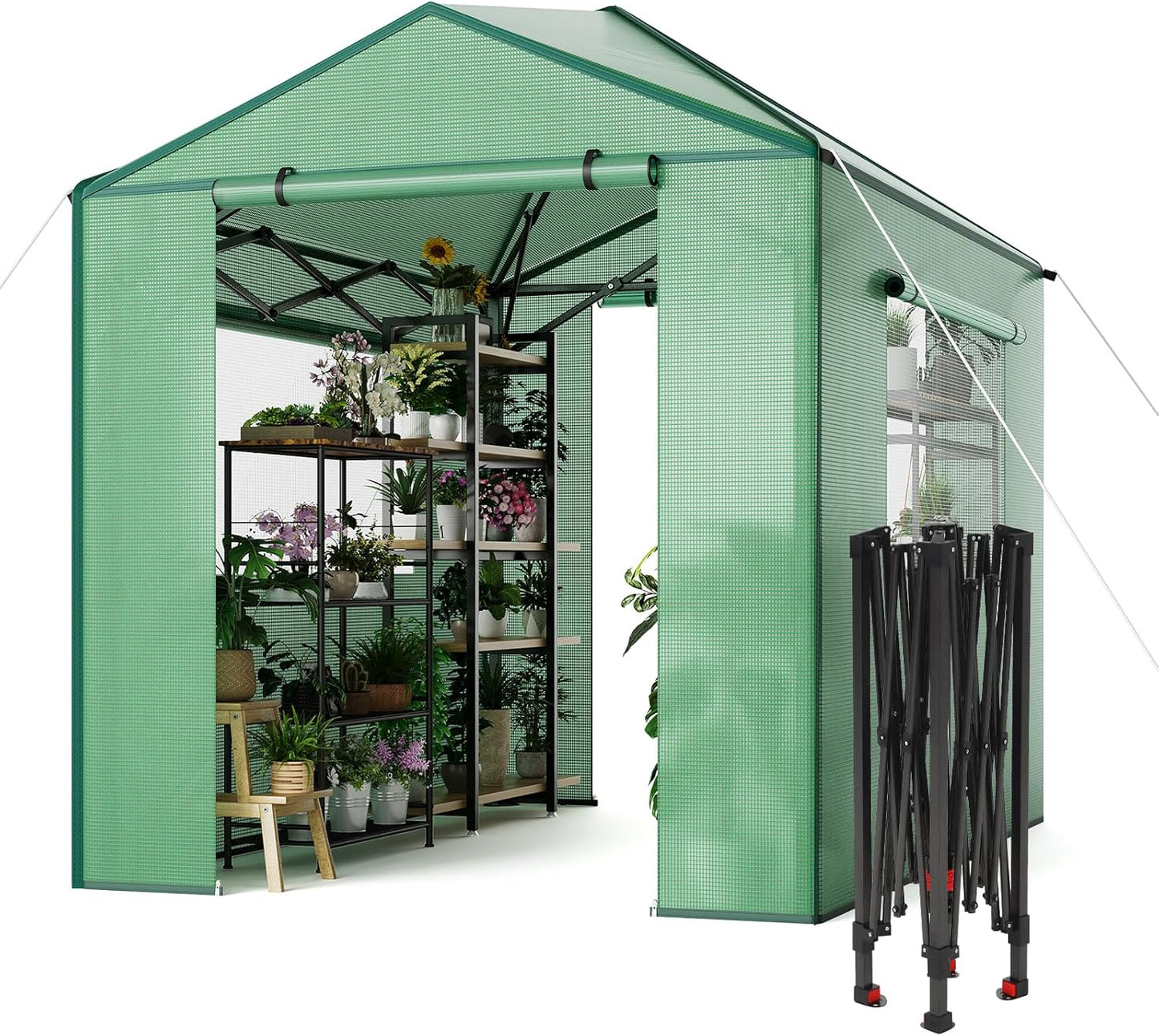 Riedhoff Portable Walk-in Greenhouse, Pop-up , Zippered Doors & Windows, Green