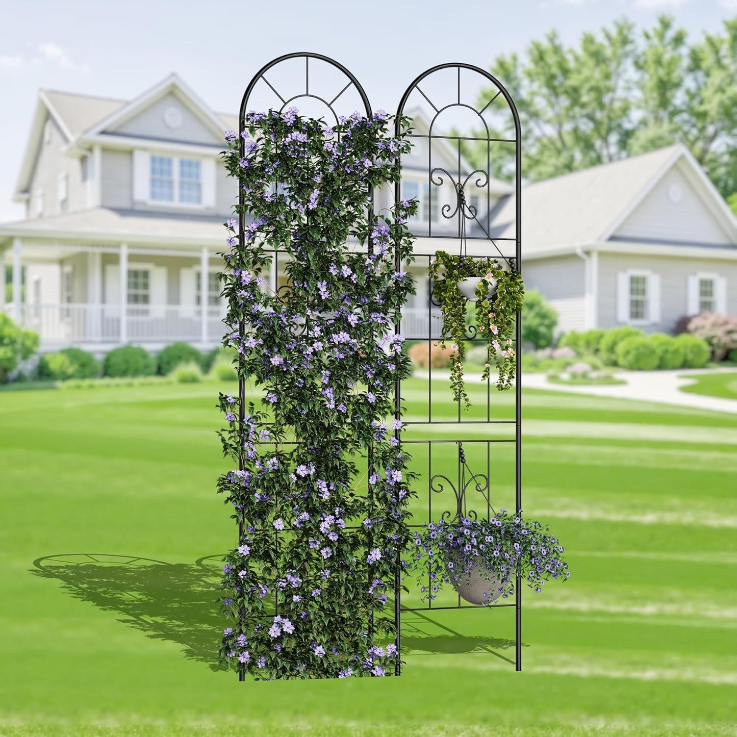 Riedhoff Metal Garden Trellis for Climbing Plants, Black