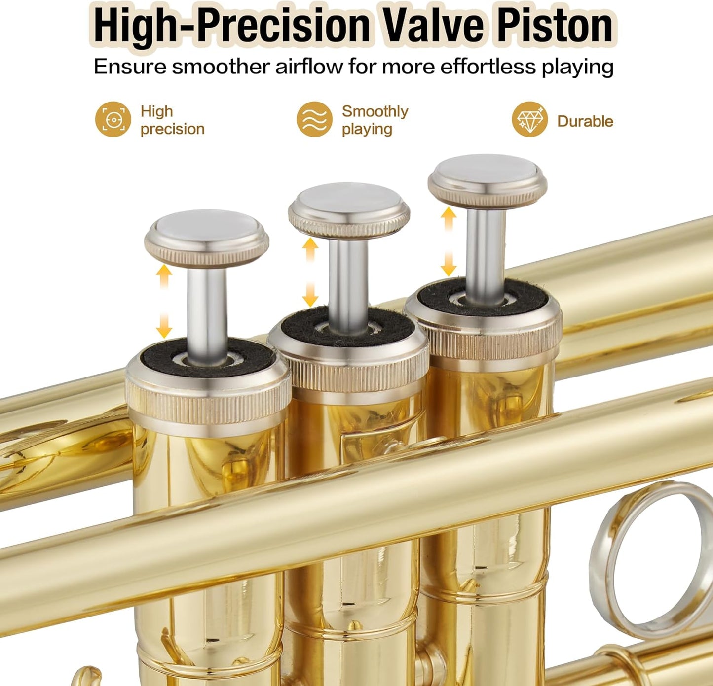 Garvee Bb Trumpet Lacquer Brass Complete Set for Beginners