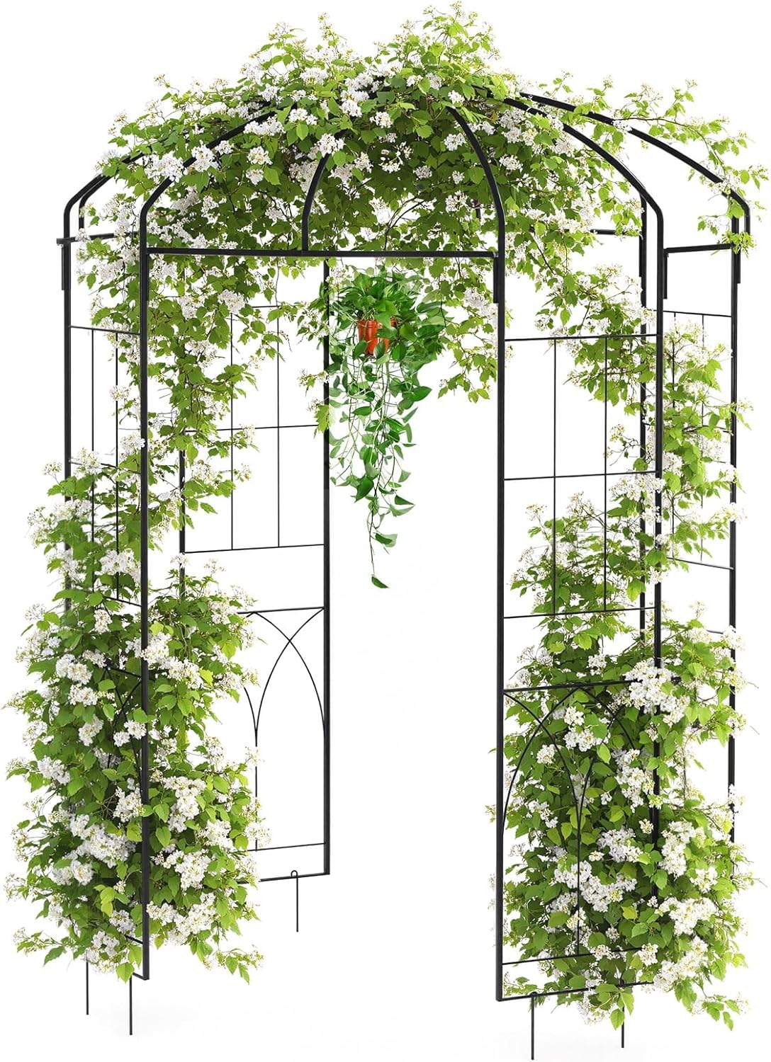 Riedhoff Garden Arbor Trellis 3.47 x 6.56 x 6.56 ft , Birdcage Wedding Arch, Black
