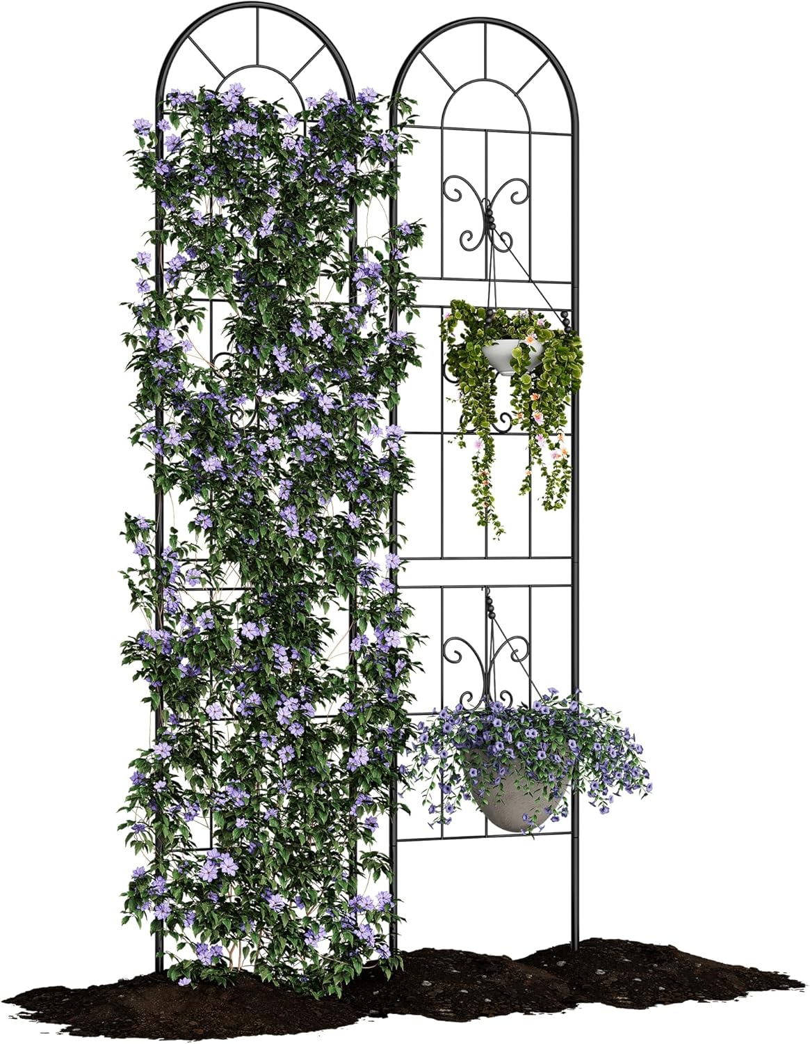 Riedhoff Metal Garden Trellis for Climbing Plants, Black