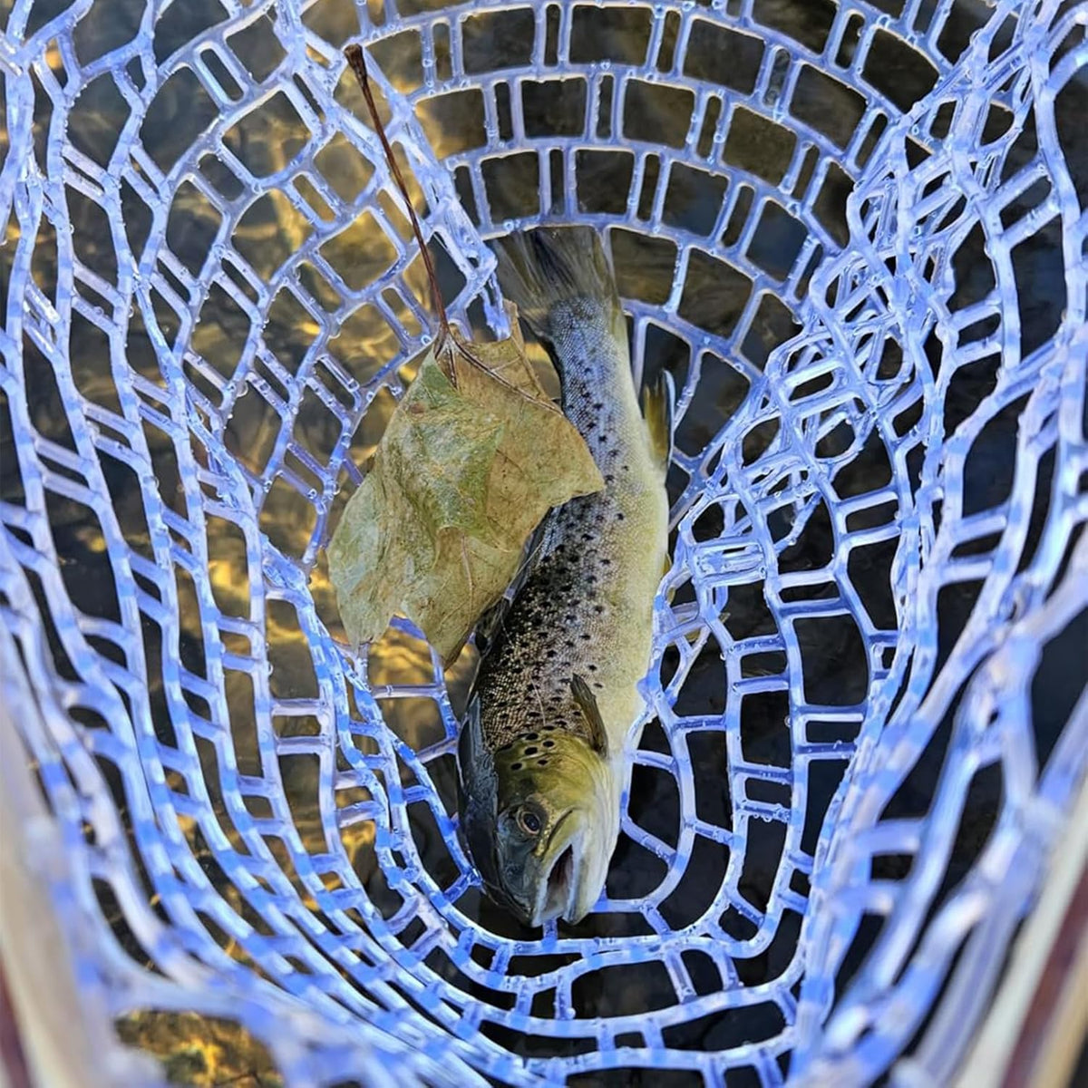 Riedhoff Wooden Handle Fly Fishing Net, with Durable Clear Rubber Net, 24" x 11" x 10"