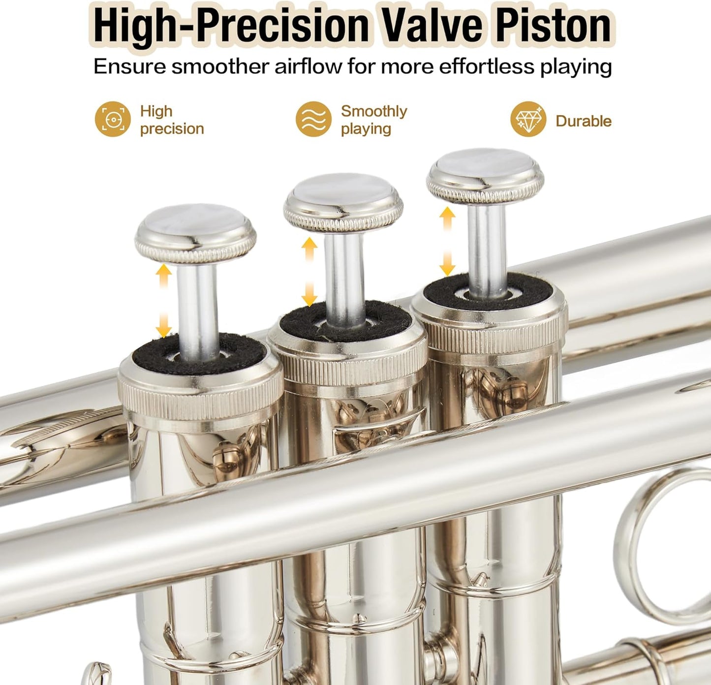 Garvee Bb Trumpet Lacquer Brass Complete Set for Beginners