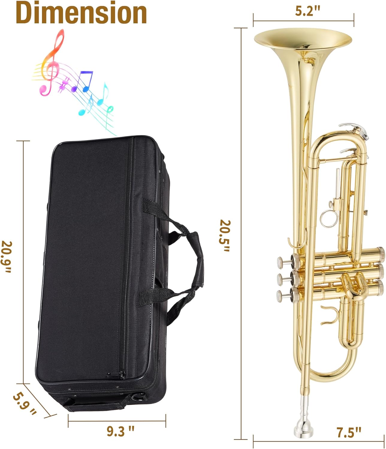 Garvee Bb Trumpet Lacquer Brass Complete Set for Beginners