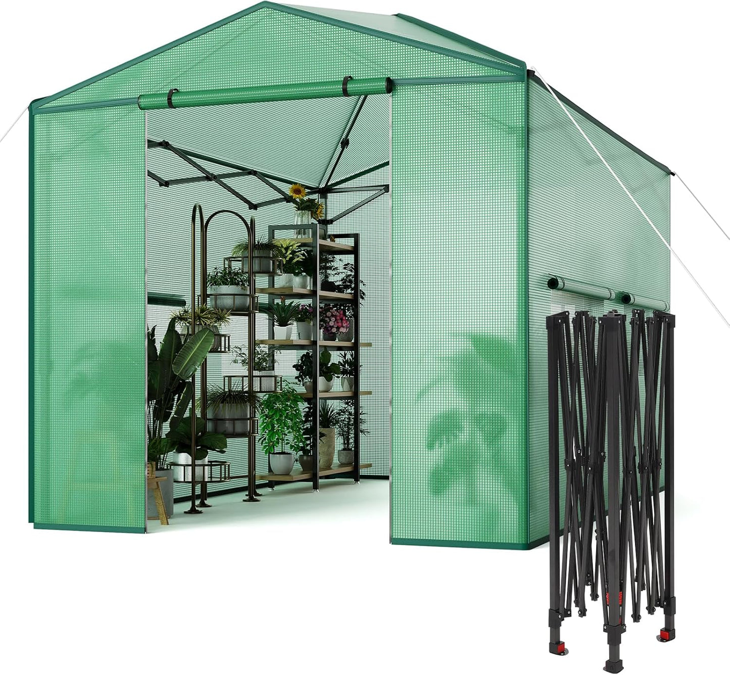 Riedhoff Portable Walk-in Greenhouse, Pop-up , Zippered Doors & Windows, Green
