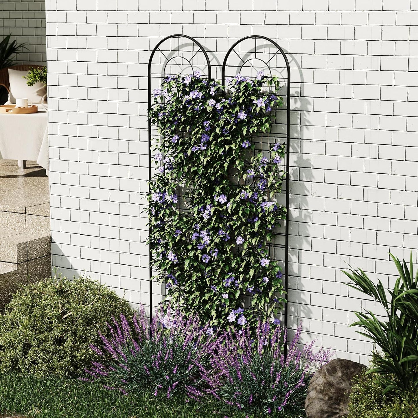 Riedhoff Metal Garden Trellis for Climbing Plants, Black