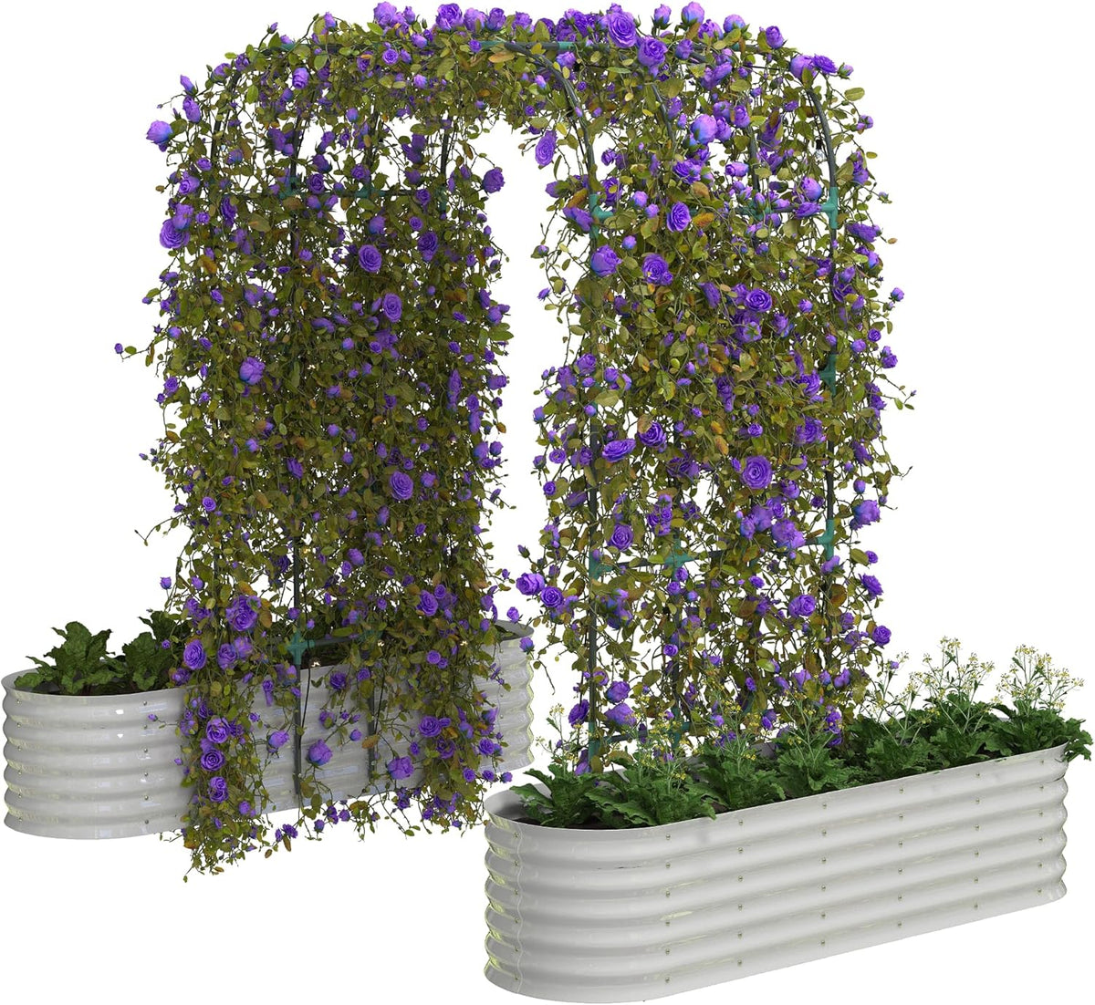 Riedhoff 2 Pack Raised Garden Bed Kit 6.56*1.96*1.47', with 7.87' Tall Arch Trellis