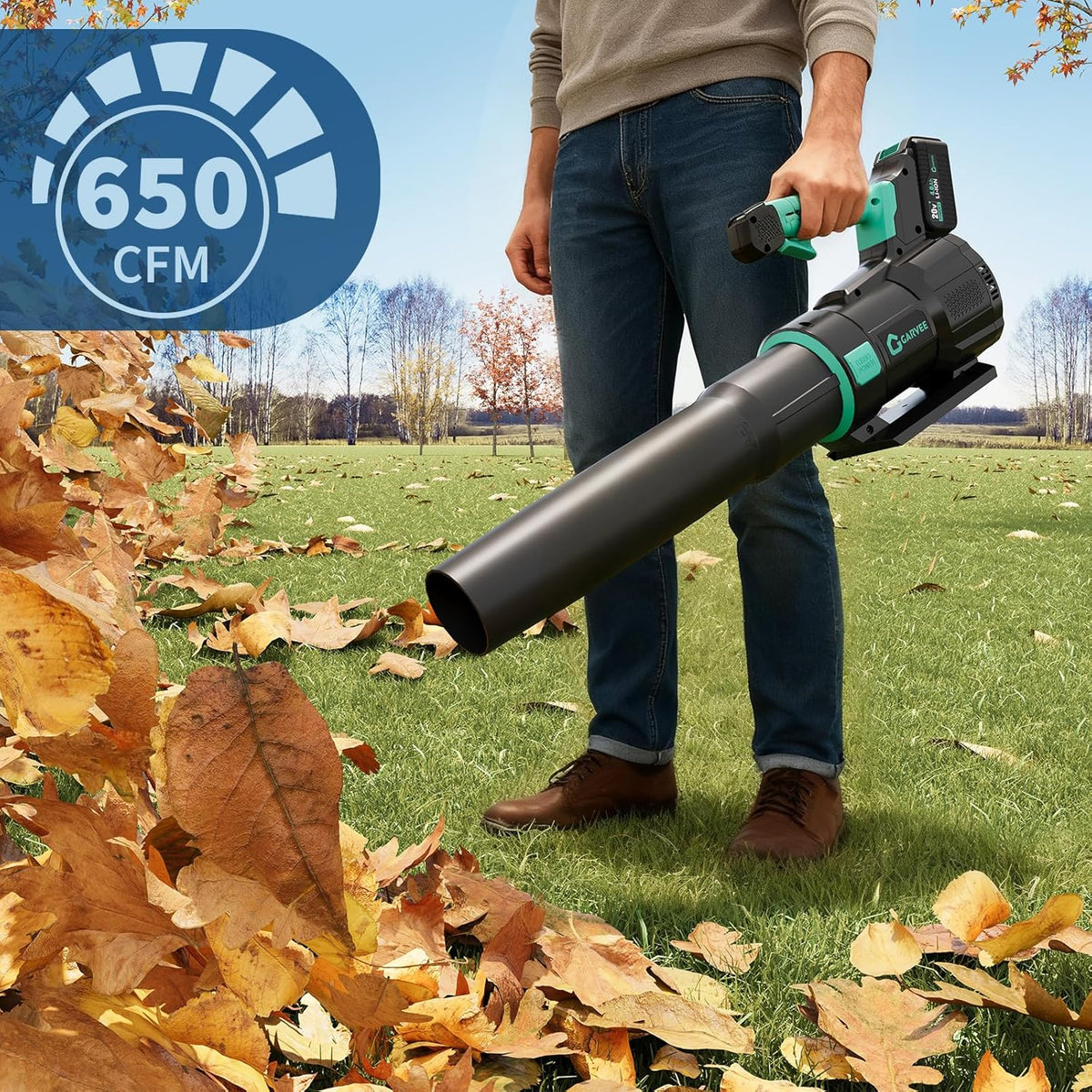 Ridehoff 20V Leaf Blower Cordless 650 CFM, 200 MPH & 2 Speed, 4.0 Ah Battery, Lake Blue