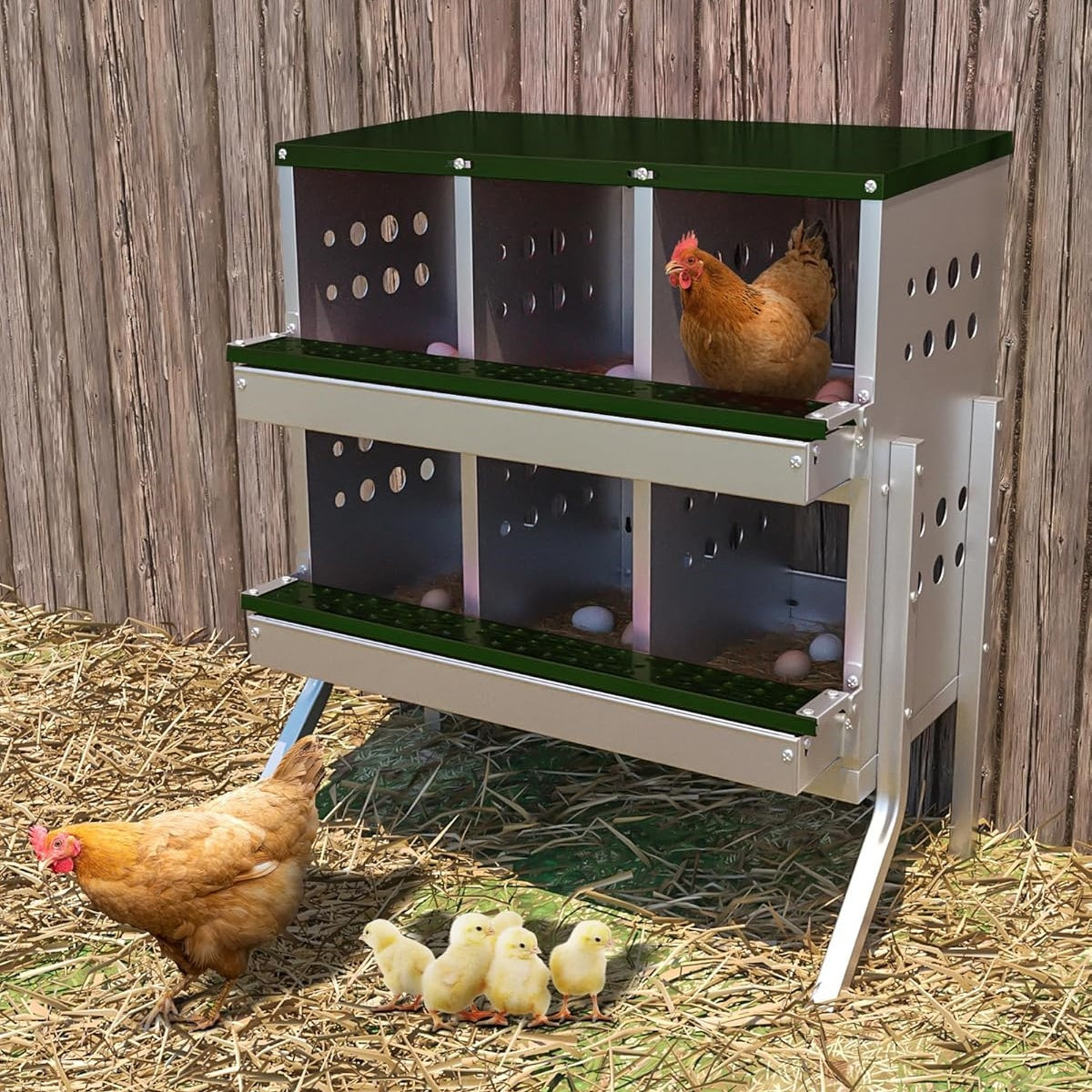 Garvee Chicken Nesting Box for Laying Eggs