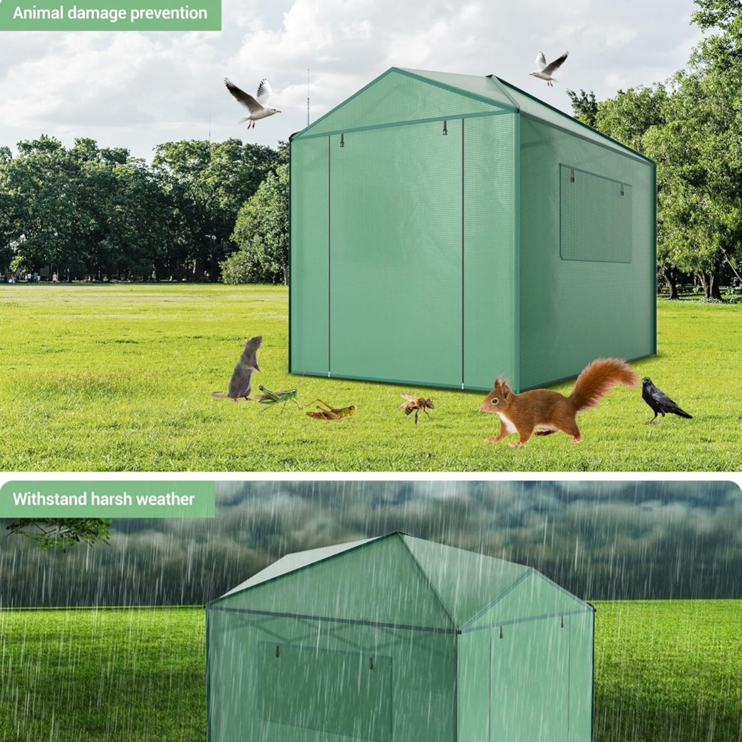 Riedhoff Portable Walk-in Greenhouse, Pop-up , Zippered Doors & Windows, Green