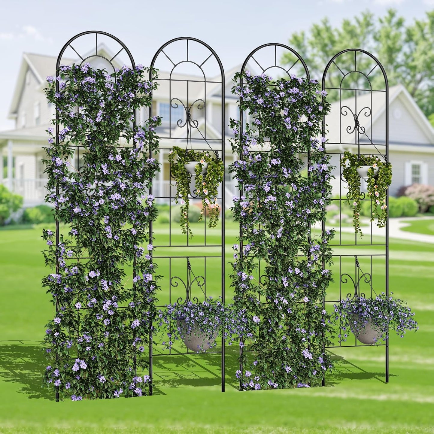 Riedhoff Metal Garden Trellis for Climbing Plants, Black
