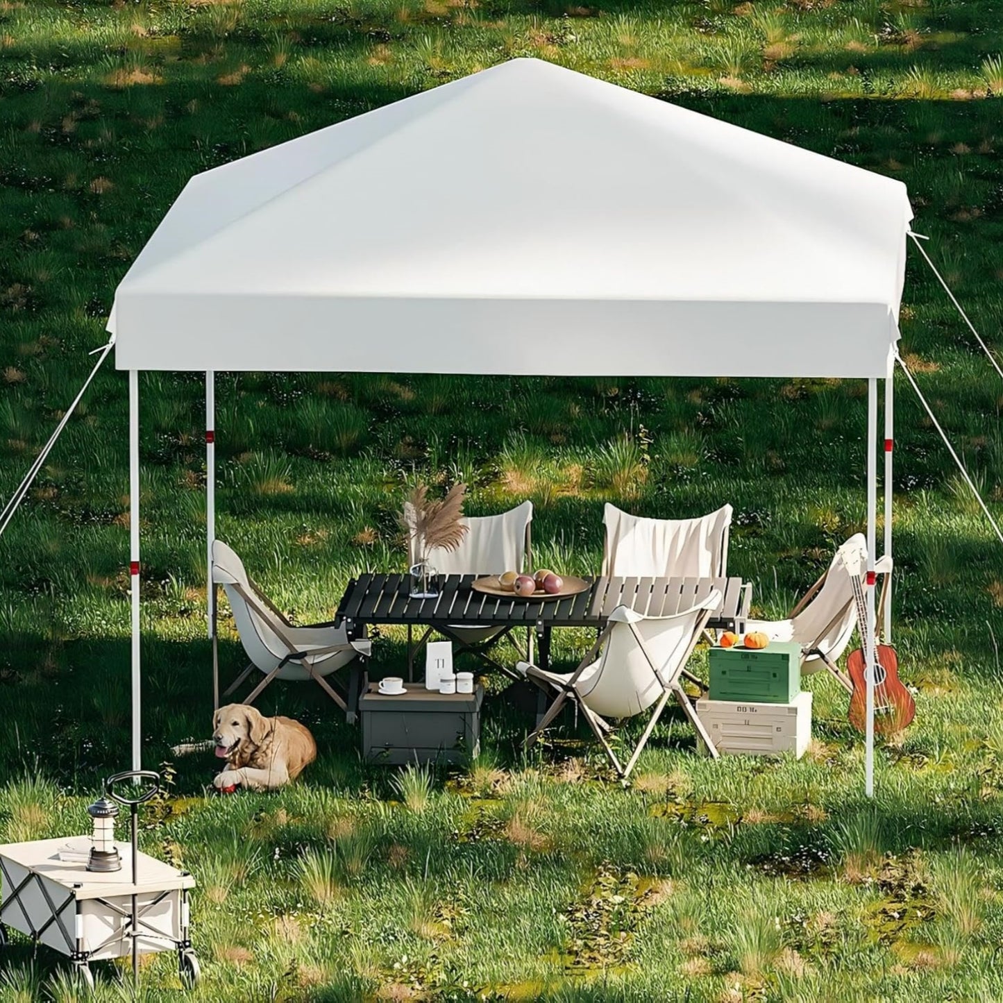 Garvee 10 x 10 Ft Pop-up Canopy, One Button Push Setup, Heavy Duty, Portable Roller Bag