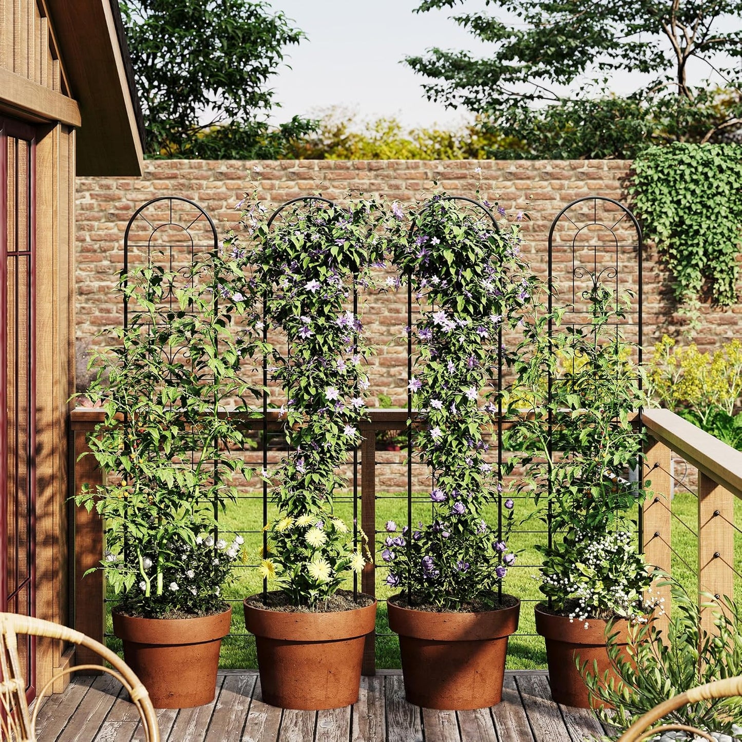 Riedhoff Metal Garden Trellis for Climbing Plants, Black
