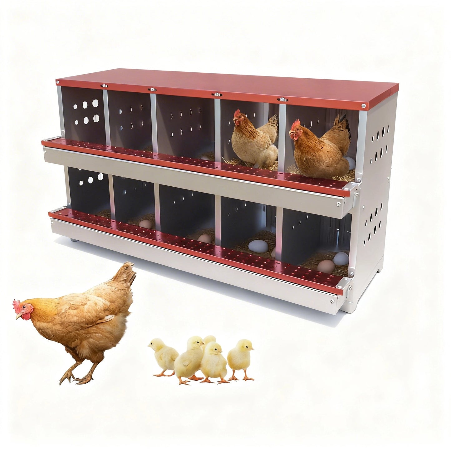 Garvee Chicken Nesting Box for Laying Eggs