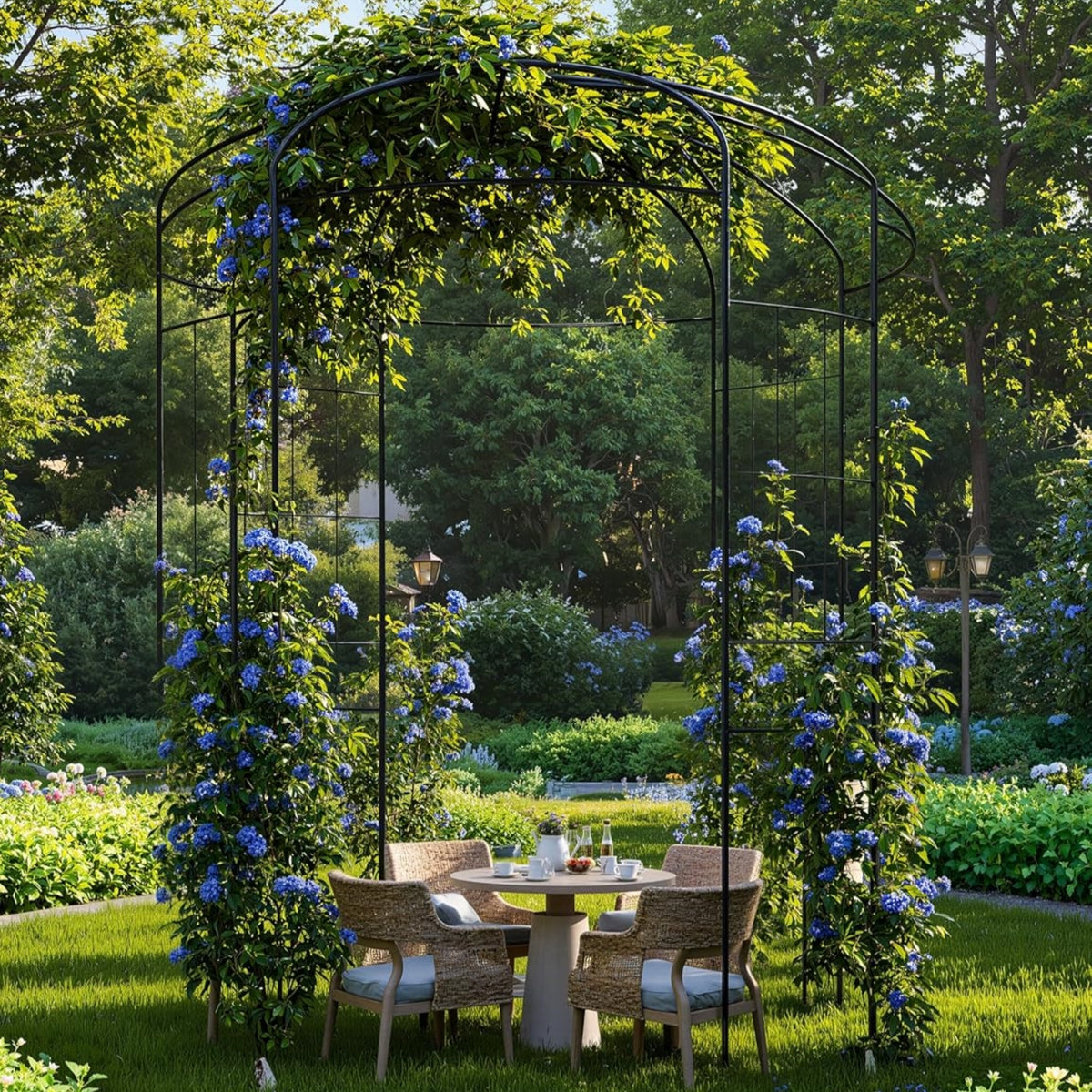 Riedhoff Garden Arbor Trellis 3.47 x 6.56 x 6.56 ft , Birdcage Wedding Arch, Black